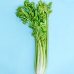 Celery
