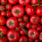 Tomato