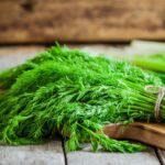 Dill Per 1 Pack (100gm) | شبت