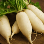 White Radish