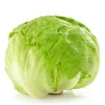 Iceberg Lettuce