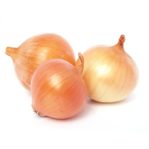 White Onion