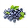 Blueberry